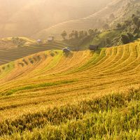 Tour du lịch Sapa 3 ngày 2 đêm